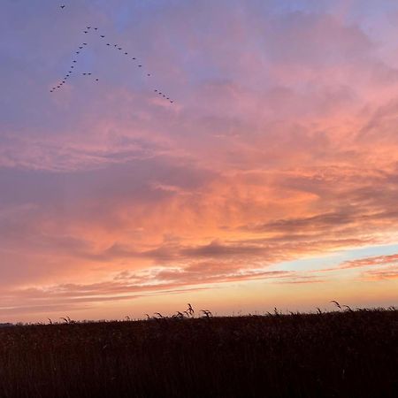 Deichkoje12 Direkt Am Eiderdeich Nur 7 Km Bis Zur Nordsee Und 20 Min Bis Sankt Peter Ording เทินนิง ภายนอก รูปภาพ