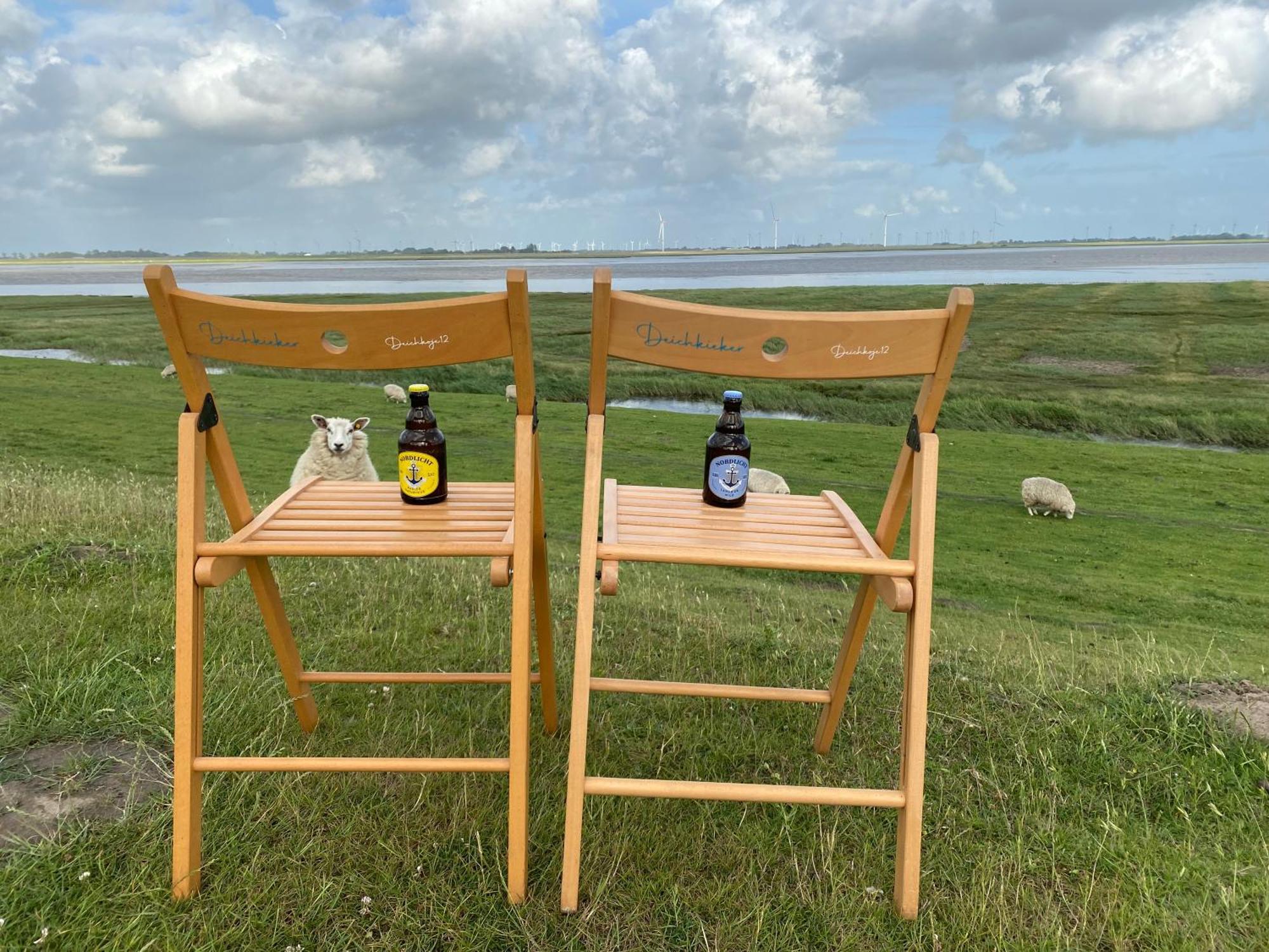 Deichkoje12 Direkt Am Eiderdeich Nur 7 Km Bis Zur Nordsee Und 20 Min Bis Sankt Peter Ording เทินนิง ภายนอก รูปภาพ